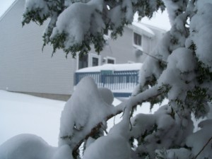 View from what is, in nicer weather, a green and peaceful meditation nook