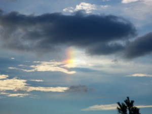 I spelled it with two words (sun dog) in the book; but I think the accepted usage is one word (sundog).
