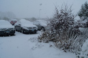 I was NOT dressed for the cold!   And I had to shovel snow off my car!   With no gloves!