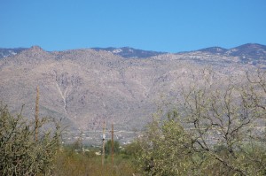 Trees above; no trees below