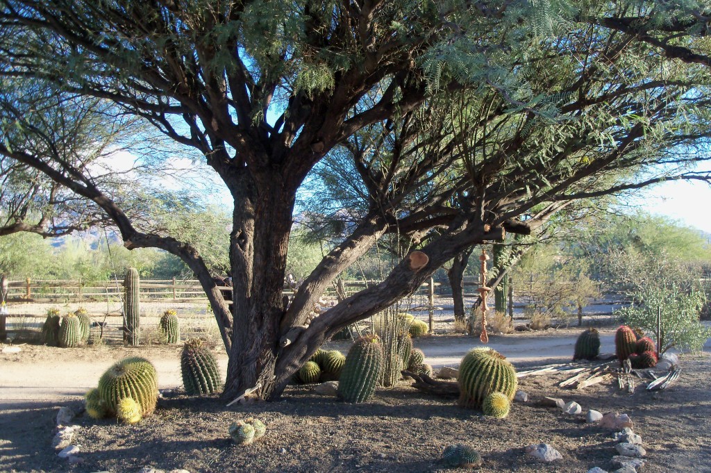 Just a note…. Rosemary Kirstein