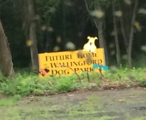 The Dog Park will not harm you.