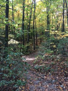 Between waves of hikers, including little old ladies and dogs.