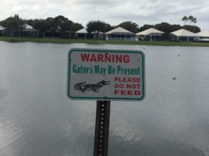 Yeah. I'm not going to be feeding any gators that show up... 