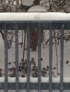 Restaurant remains open despite inclement weather.